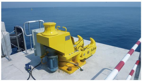 �������¹�